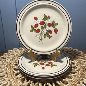 Regency Newcor Susanne 601 Strawberry Salad Plates 7.5" Japan Set 3 Speckled